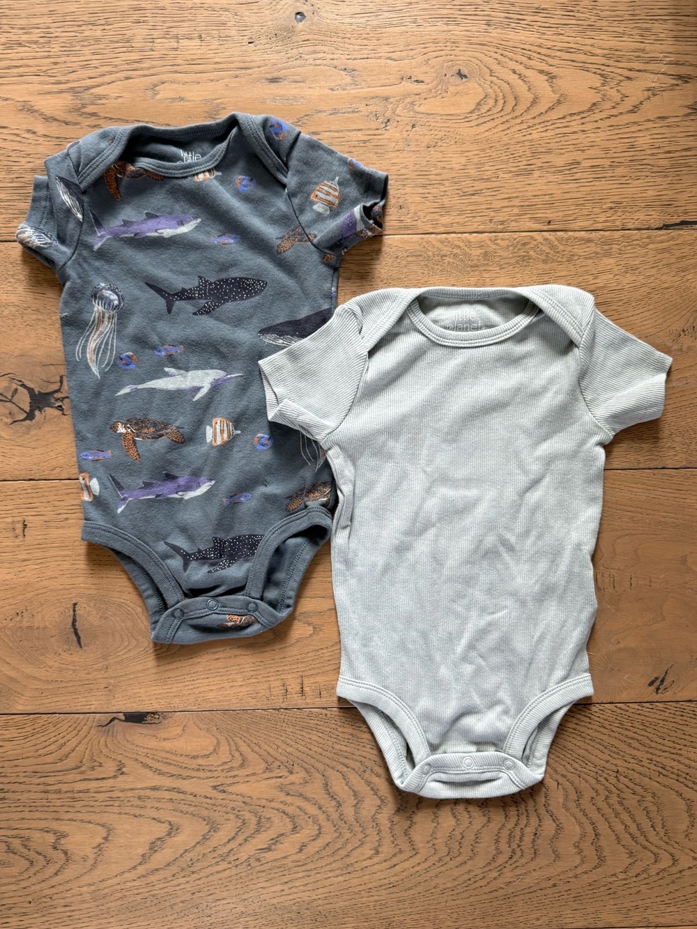 Little Planet by Carter’s Organic Cotton Ocean Bodysuits 12M 2-Pack